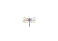 Thumbnail for Rainbow Dragonfly Throw Pillow | Watercolor Iridescent Insect Decorative Pillow | Nature Lover Gift